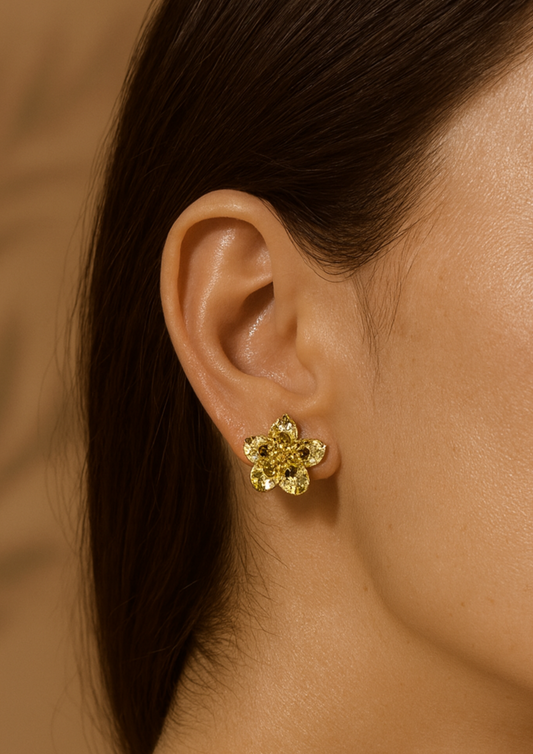 AROS ORION