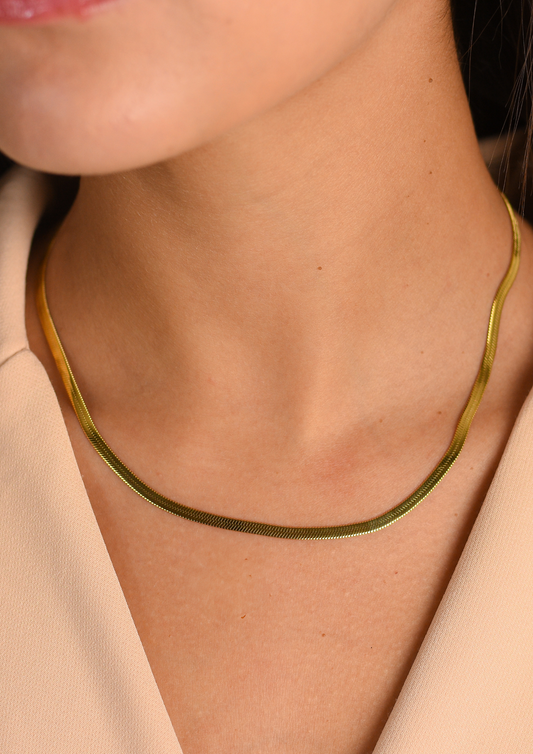 COLLAR VITTA 3MM